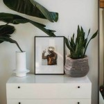 Keramični lonec Home Gardens 919.035.19